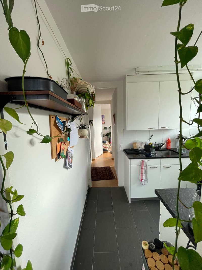 A narrow hallway with dark tiled flooring, white walls, and a small shelf with plants and items. The hallway leads to a kitchen area with white cabinets, a black countertop, and various kitchen items.