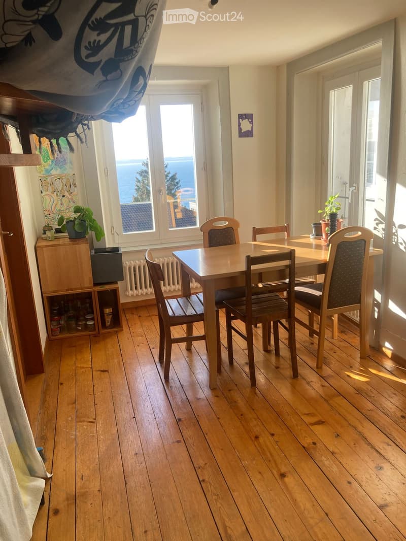 Duplex 5 pièces avec cachet proche de la gare, vue et jardin commun (2)
