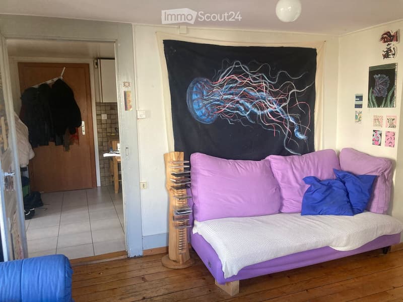 Duplex 5 pièces avec cachet proche de la gare, vue et jardin commun (5)