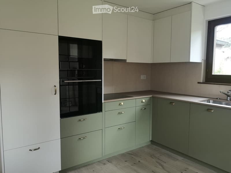 Modern kitchen with white and green cabinets, stainless steel oven, sink, and faucet.