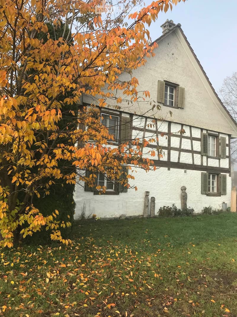 Traditional white half-timbered house with multiple windows and green shutters, surrounded by autumn foliage and a grassy lawn.