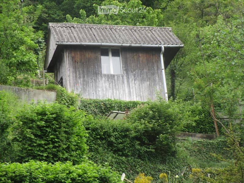 A small wooden building with a sloped roof, situated on a raised concrete platform surrounded by dense green foliage and trees.