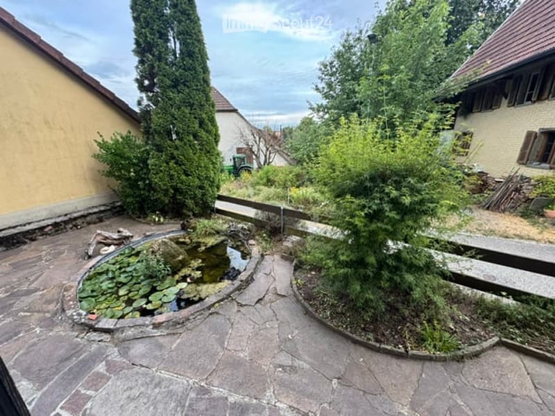 Garden area with a small pond surrounded by lily pads, a wooden fence, and various greenery including shrubs and trees.