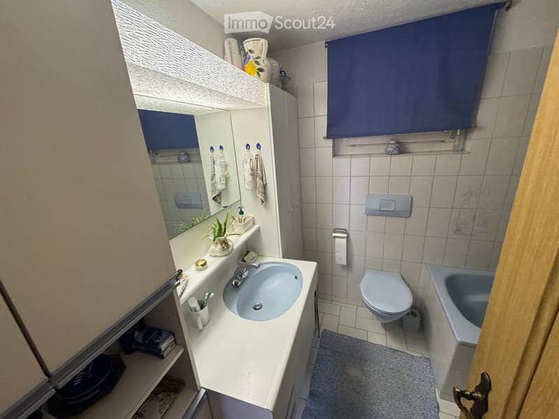 A compact bathroom with a white sink, toilet, bathtub, and a mirrored cabinet. The space includes a small plant on the sink counter and a towel hanging on a rack.