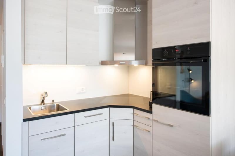 Modern kitchen with white cabinets, stainless steel sink, faucet, oven, and range hood.