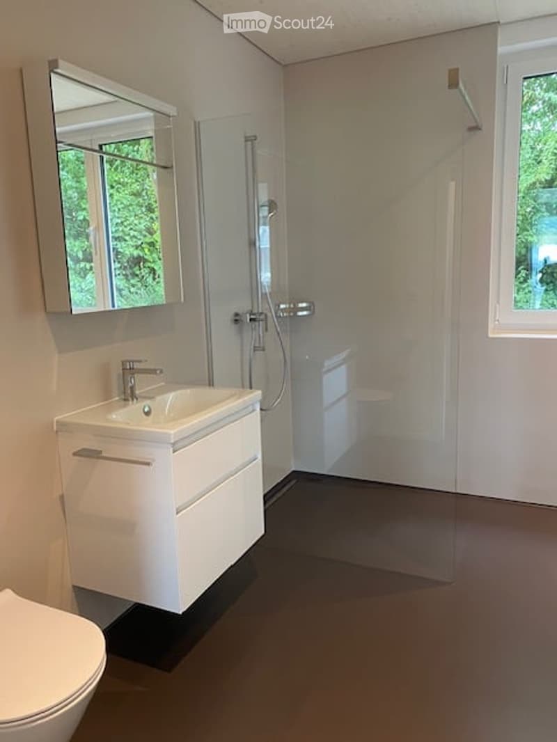 Modern bathroom with white walls, dark floor, white sink with mirror, glass shower stall, and toilet.