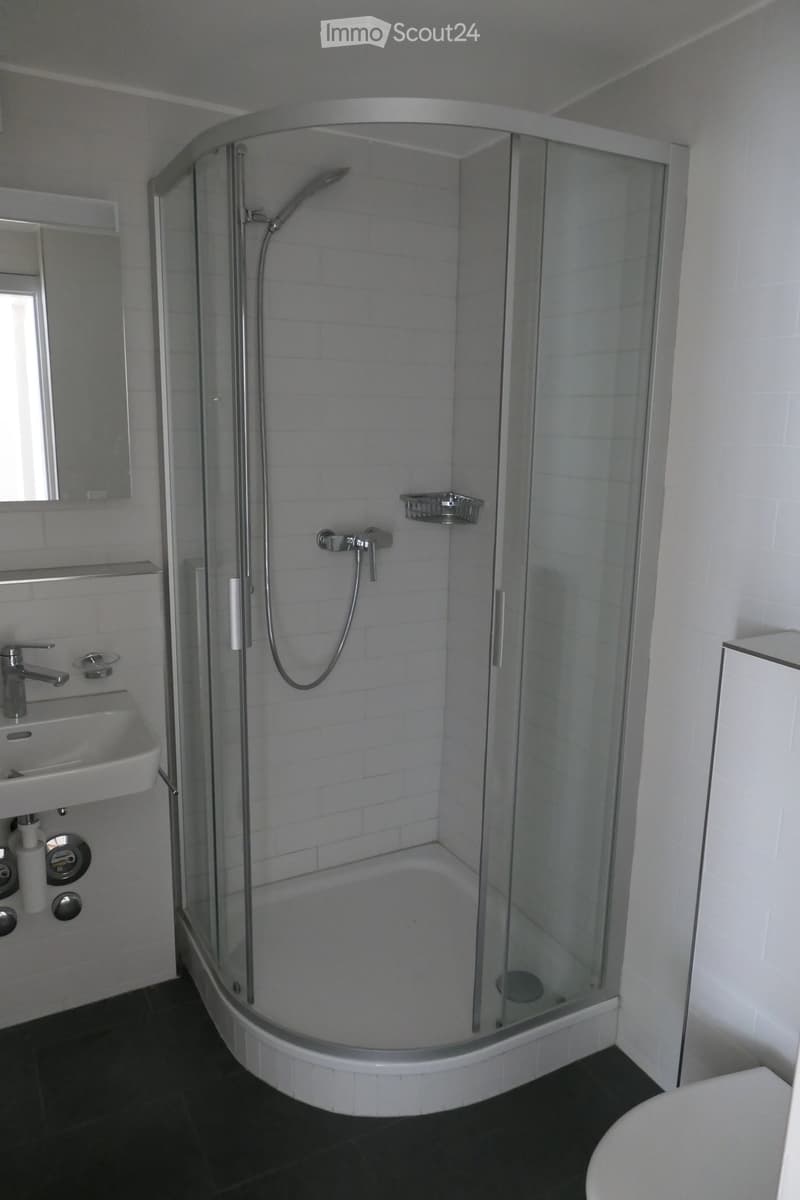 shower cabin, sink, toilet, mirror