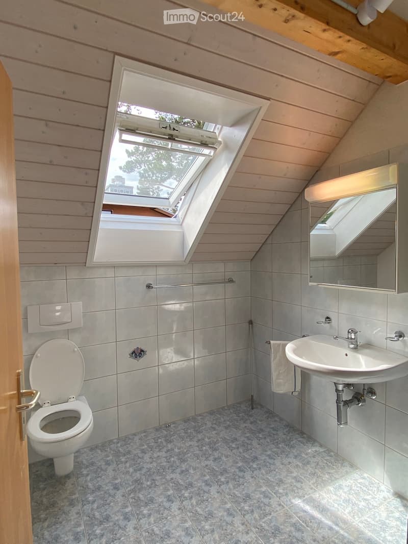 Modern bathroom with grey tiles, a toilet, a sink, a mirror, and a towel. Features a skylight window and wooden ceiling beams.