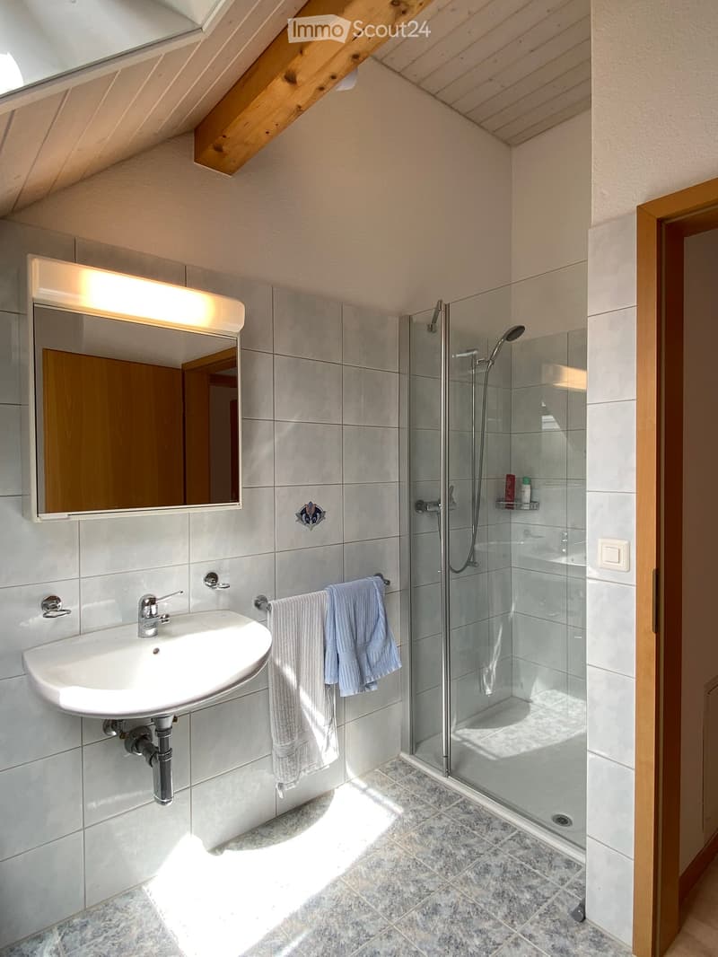 Modern bathroom with a white sink, mirror, glass shower enclosure, and towels hanging on the wall.
