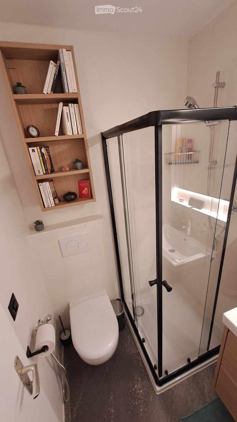 Modern bathroom with a toilet, glass-enclosed shower, wooden shelf with books and decorative items, and a small plant on the shelf.