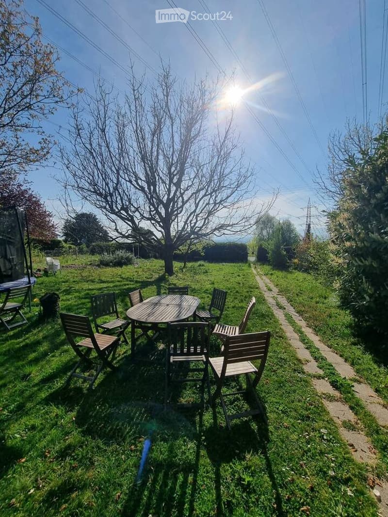 A sunny garden with a wooden table and chairs, surrounded by grass and trees, with a pathway leading to the house.