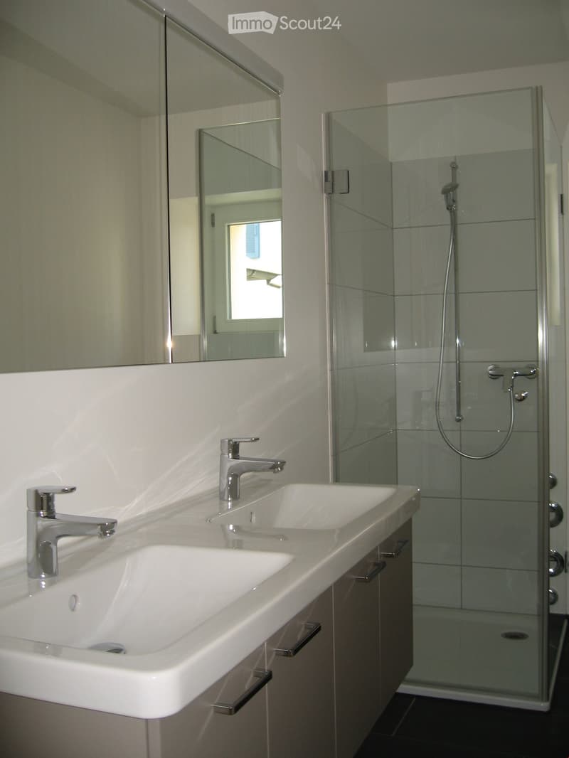 Modern bathroom with two sinks, chrome faucets, a large mirror, and a glass-enclosed shower with a handheld showerhead.