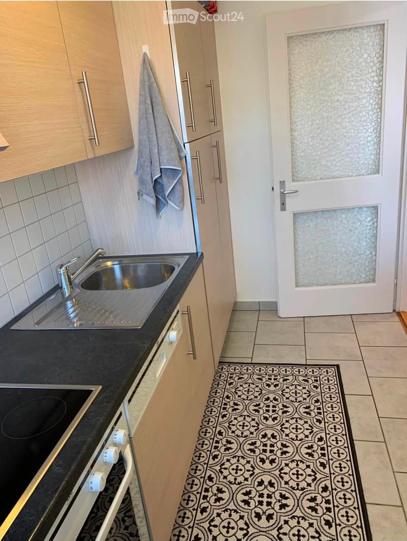 Modern kitchen with light wooden cabinets, stainless steel sink, black countertop, and decorative black and white patterned rug.