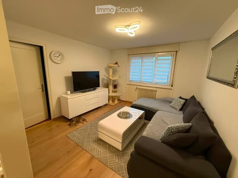 Modern living room with a grey sectional sofa, white coffee table, TV stand, cat tree, and a mirror on the wall.