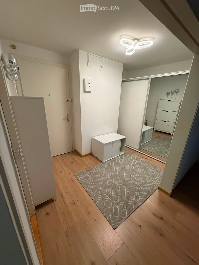 A modern hallway with light wooden flooring, white walls, and a geometric patterned rug. Features include a small white cabinet, a mirror, and built-in storage units.