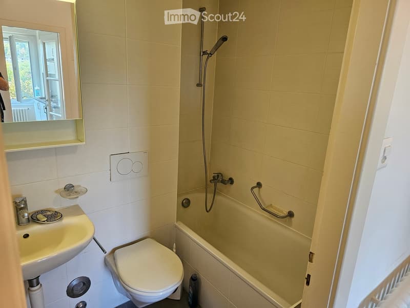 Bathroom with a sink, toilet, bathtub, and showerhead. Features a mirror above the sink and a handrail in the bathtub area.