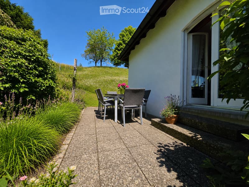 Outdoor patio area with a table and chairs, surrounded by greenery and a view of a grassy hill.