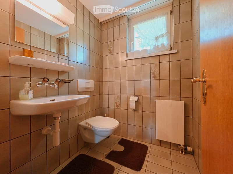 A small, tiled bathroom with a sink, toilet, mirror, radiator, and a window with a curtain. The sink has a soap dispenser and a small shelf above it. Toilet paper is placed on a holder next to the toilet. Two dark-colored rugs are placed on the floor.