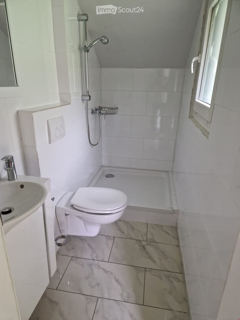 small bathroom with white tiles, shower, toilet, sink, mirror