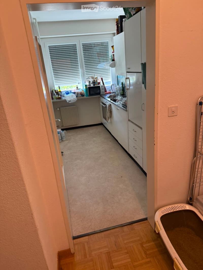 Modern kitchen with white cabinets, stainless steel appliances, and a window with blinds. Countertop has various items including a microwave, bottles, and a refrigerator.