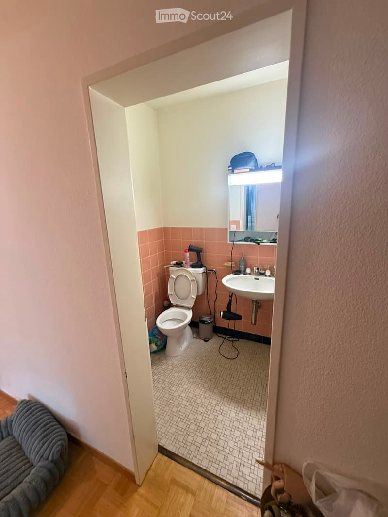 Small bathroom with pink tiles, white toilet, sink, mirror, and hair dryer visible. The room has a tiled floor and is partially visible from an adjacent hallway.