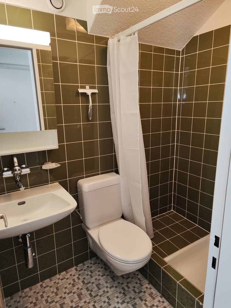 Einliegerwohnung teilmöbliert in Wettingen (5)