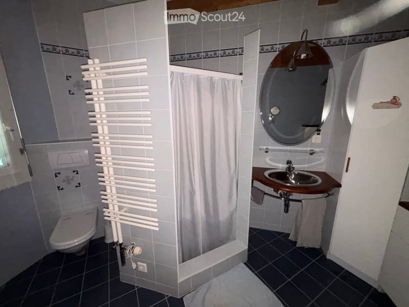 Bathroom with a toilet, sink, mirror, radiator, and shower curtain. The sink has a wooden countertop, and the mirror is oval-shaped with a decorative frame.