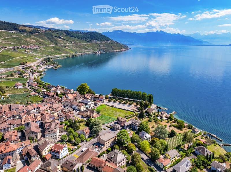 town along a lake with mountains in the background