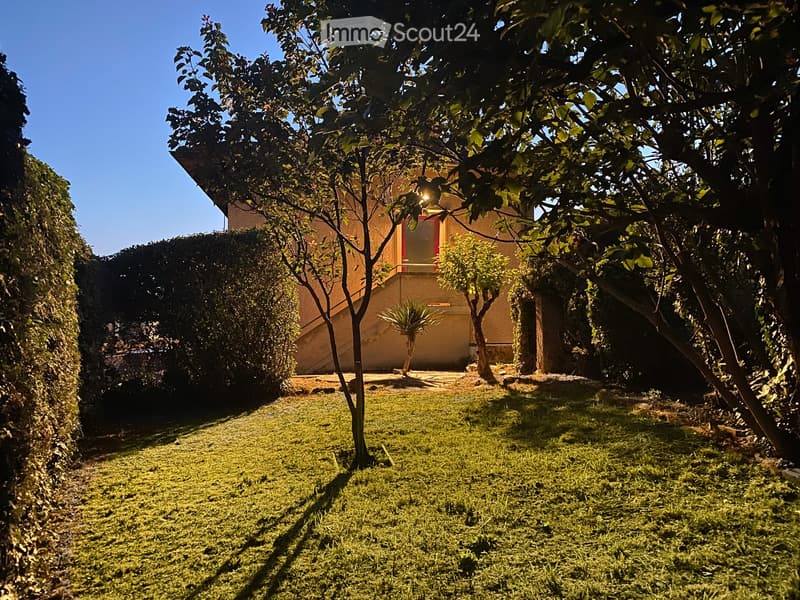 A well-maintained garden with lush green grass, a central tree, and a set of hedges providing a natural border on the left.
