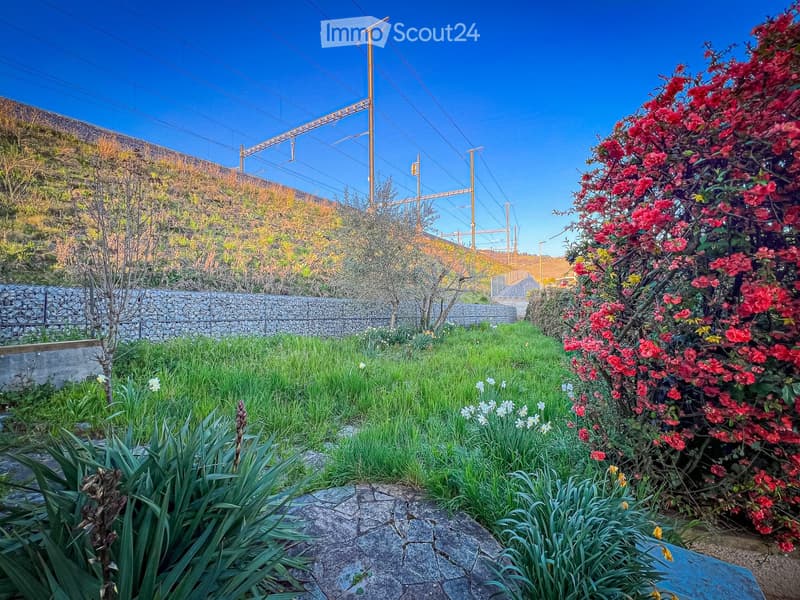 Green lawn with various flowering plants, including white, yellow, and red flowers, surrounded by a retaining wall.