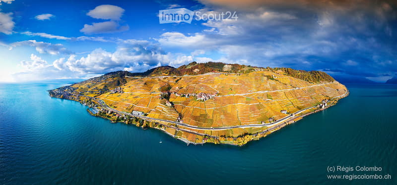 Aerial view of a vineyard area with terraced fields, surrounded by water and hills under a partly cloudy sky.