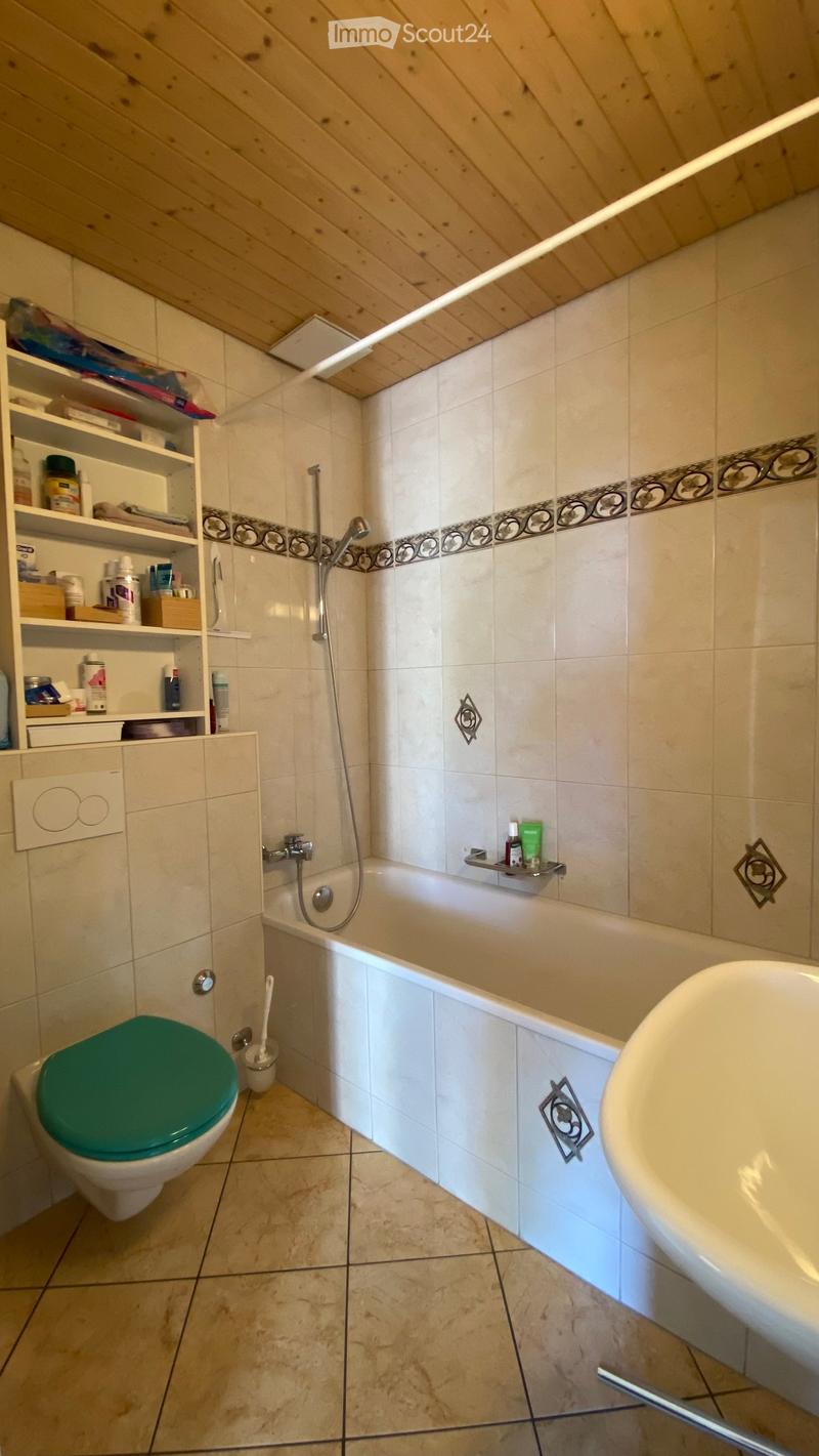 Bathroom with a toilet, bathtub, sink, shower, and a shelf with toiletries.