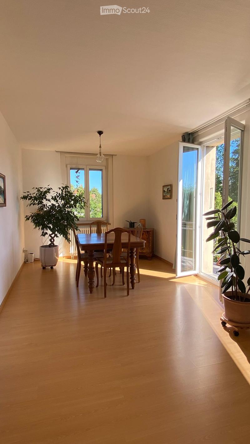 Bright dining area with wooden floor, large windows, dining table with chairs, potted plants, and a cabinet.