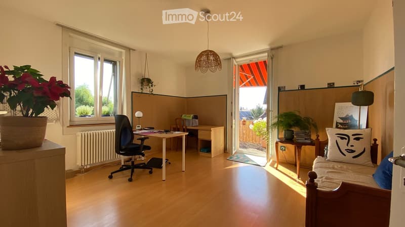 A well-lit room with a mix of a bed area and a workspace. Features include a wooden floor, a sofa with a decorative pillow, a desk with a chair, a hanging lamp, and a potted plant near the window.