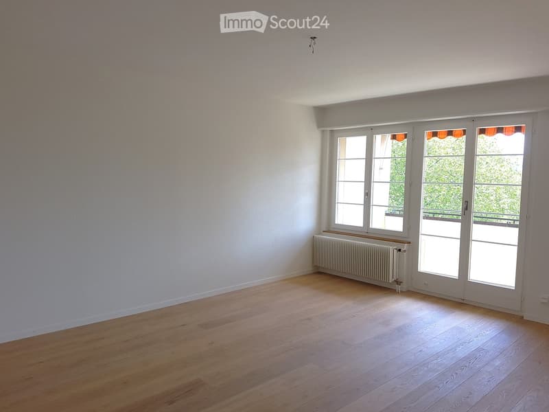 Empty room with light wooden flooring, white walls, large windows, and a radiator under one window.
