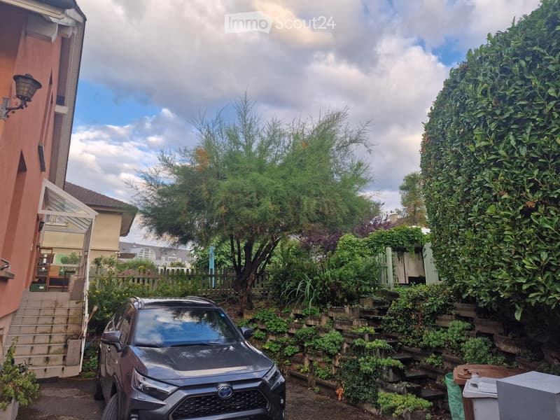 Garden area with a parked car, various plants, and a raised ground floor leading to a house entrance.