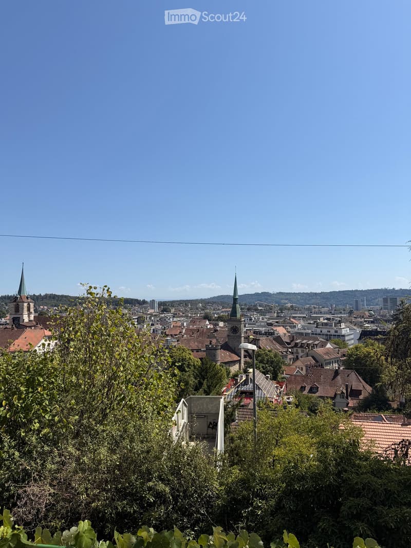 A panoramic view of a cityscape with multiple buildings, including churches with tall spires, surrounded by trees and greenery under a clear blue sky.