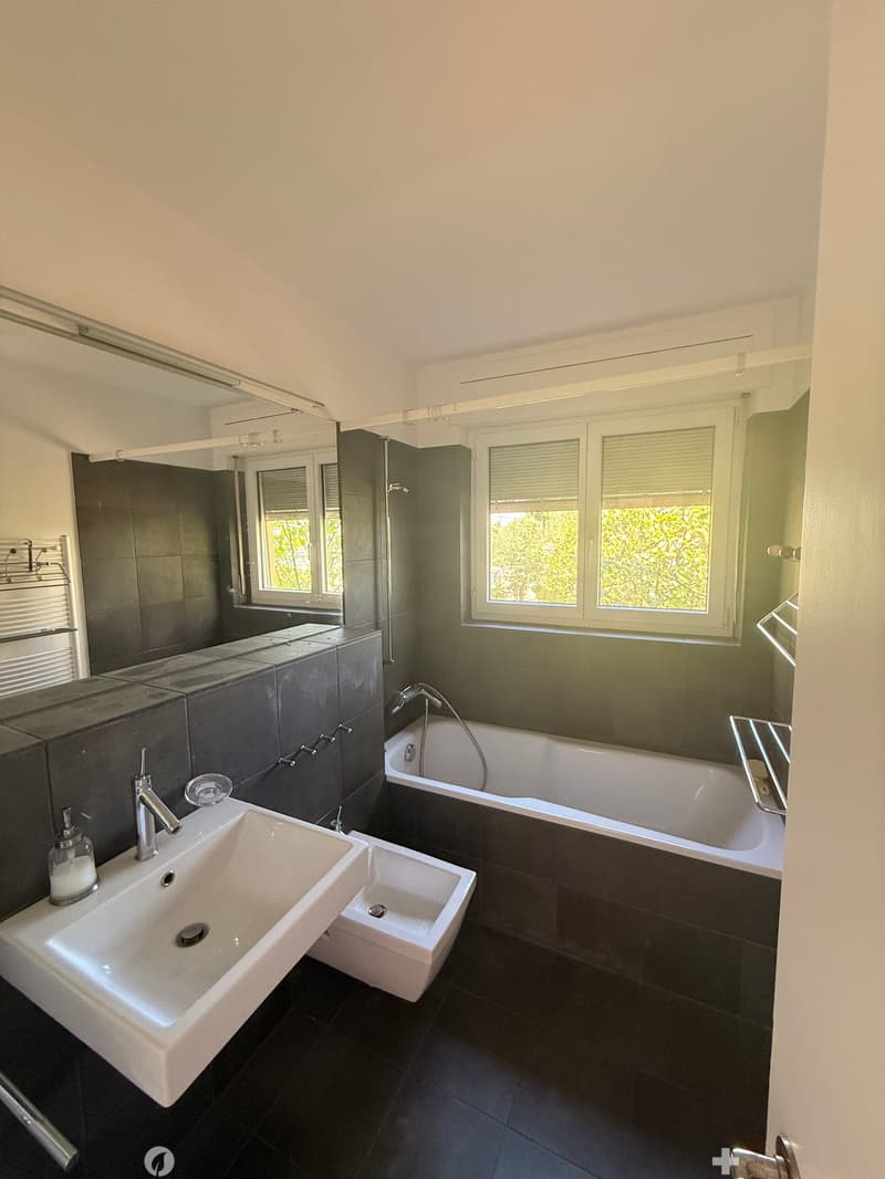 Modern bathroom with dark tiles, white sink, bathtub, and large mirror. Features two windows with blinds and a soap dispenser on the sink.