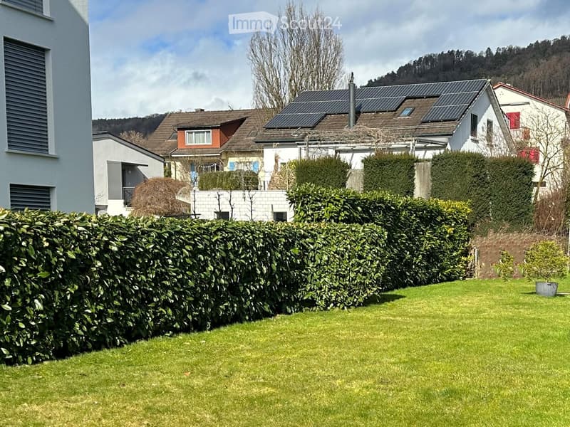 Green lawn, well-trimmed hedges, solar panels on the house roof, small potted plant