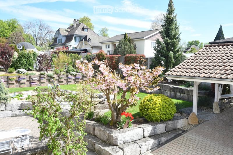 Well-maintained garden with a stone wall, flowering trees, shrubs, and a patio area with outdoor furniture.