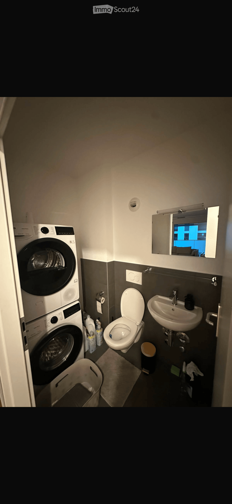 Compact bathroom with a toilet, sink, washing machine, and mirror. Includes a small trash bin and cleaning supplies.