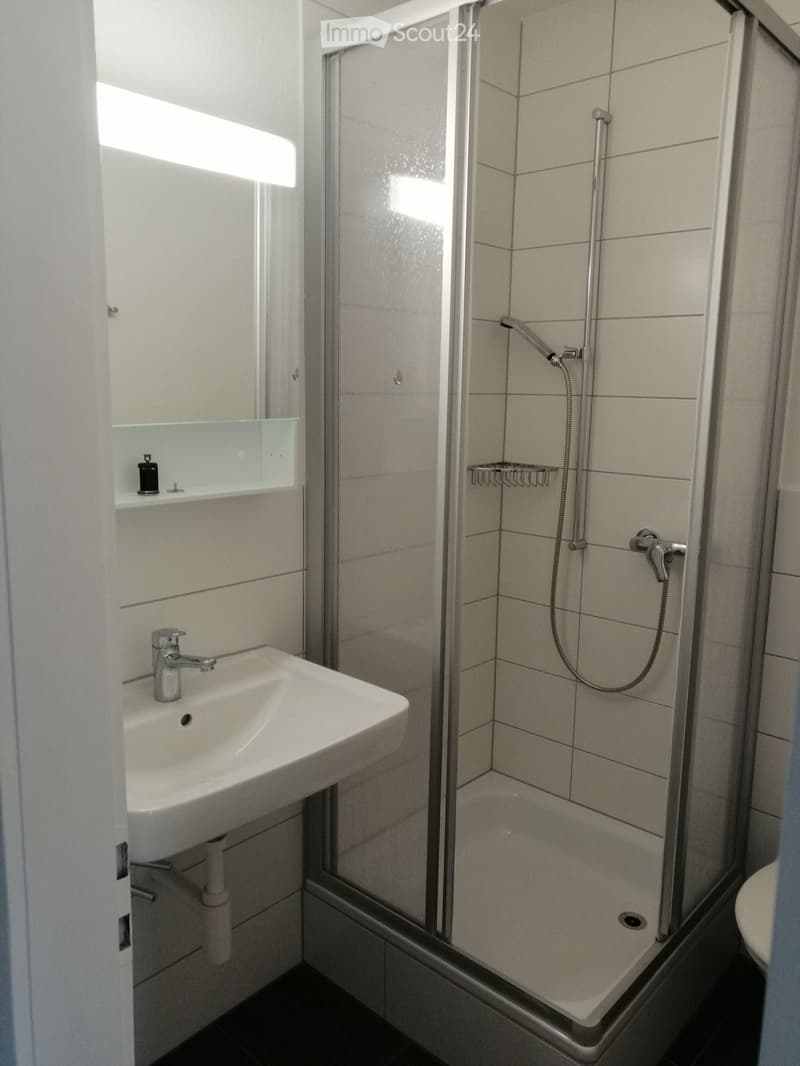 Modern bathroom with a white sink, chrome faucet, glass-enclosed shower with a handheld showerhead, and a small shelf with toiletries.