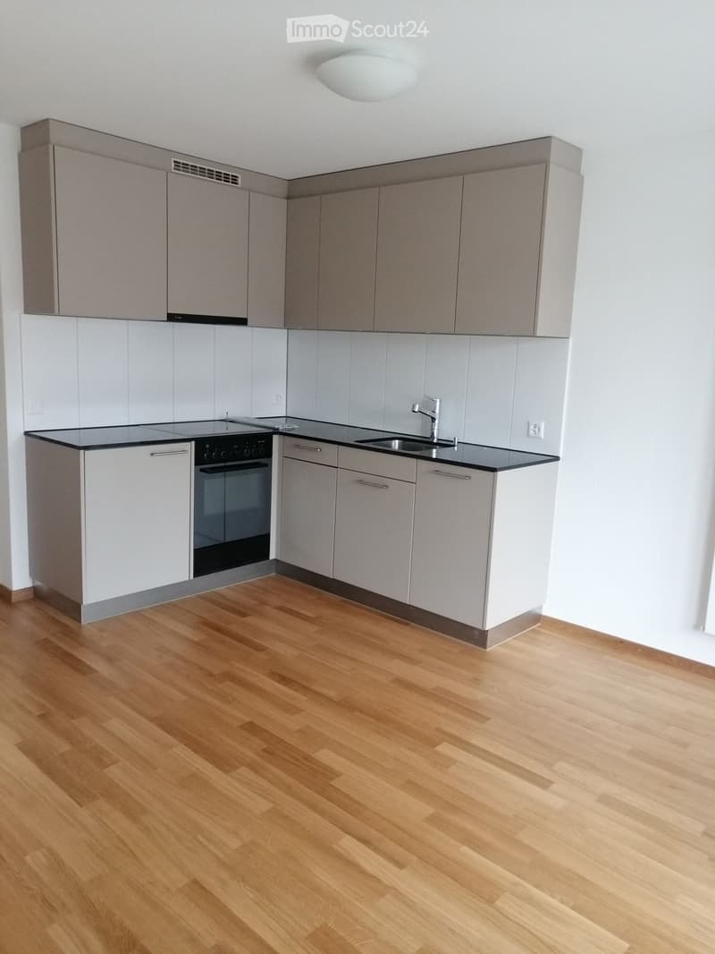 Modern kitchen with grey cabinets, white tiles, wooden flooring, and stainless steel appliances including an oven and sink.