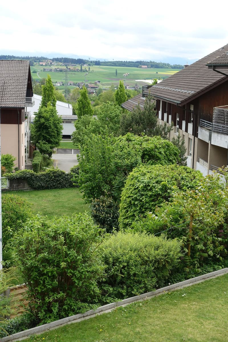 4 1/2-Zimmerwohnung mit grossem Balkon (9)