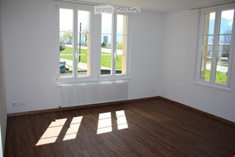 Empty room with wooden flooring, white walls, and large windows allowing natural light to enter. There is a radiator below the windows and a visible electrical outlet on the wall.