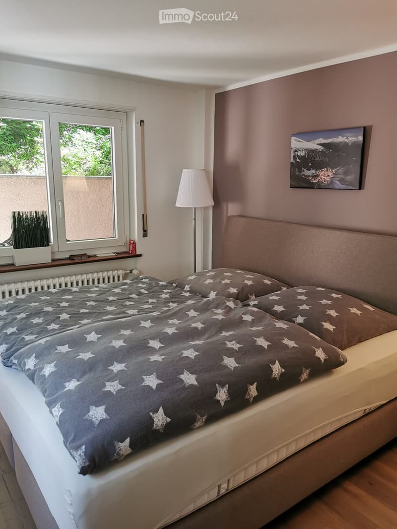 Cozy bedroom with a large bed covered in a grey star-patterned duvet, a floor lamp, a picture frame on the wall, and a window with a plant on the sill.