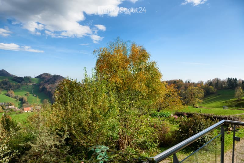 A scenic view of a lush, green valley with rolling hills, trees, and a clear blue sky. The foreground includes a metal railing, and the background features a mix of autumn-colored trees and open fields.