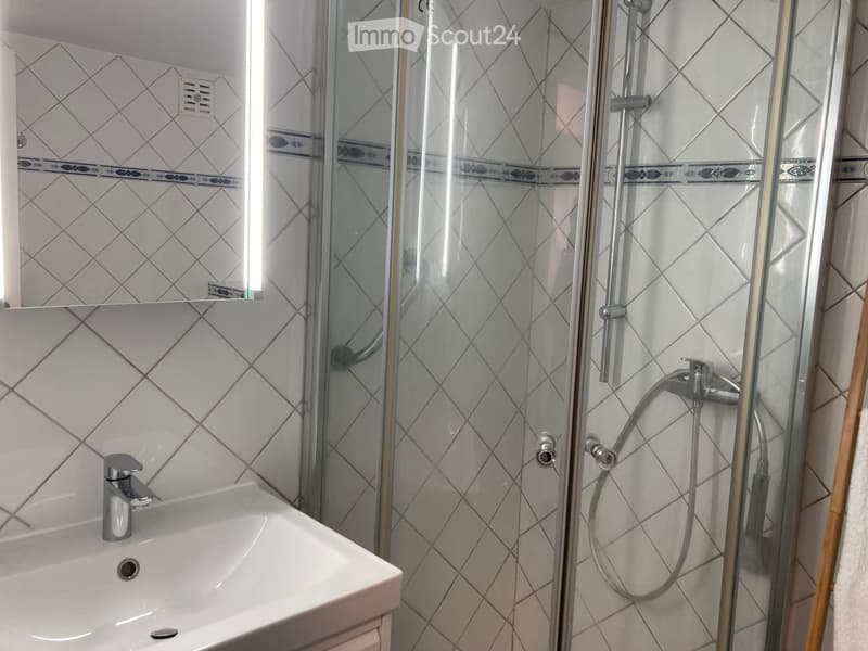 Modern bathroom with white tiled walls, a glass-enclosed shower, a sink with a chrome faucet, and a showerhead with a handheld hose.