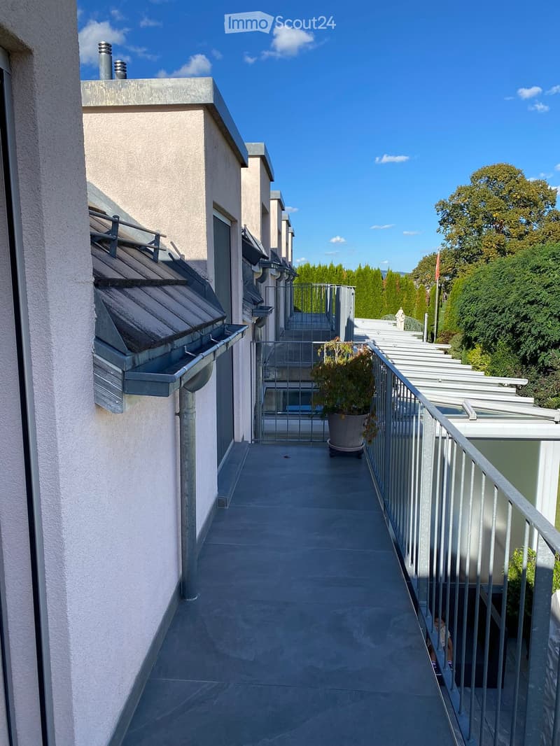 A narrow, paved outdoor corridor between buildings with metal railings, a potted plant, and a gated entrance leading to a rooftop area.