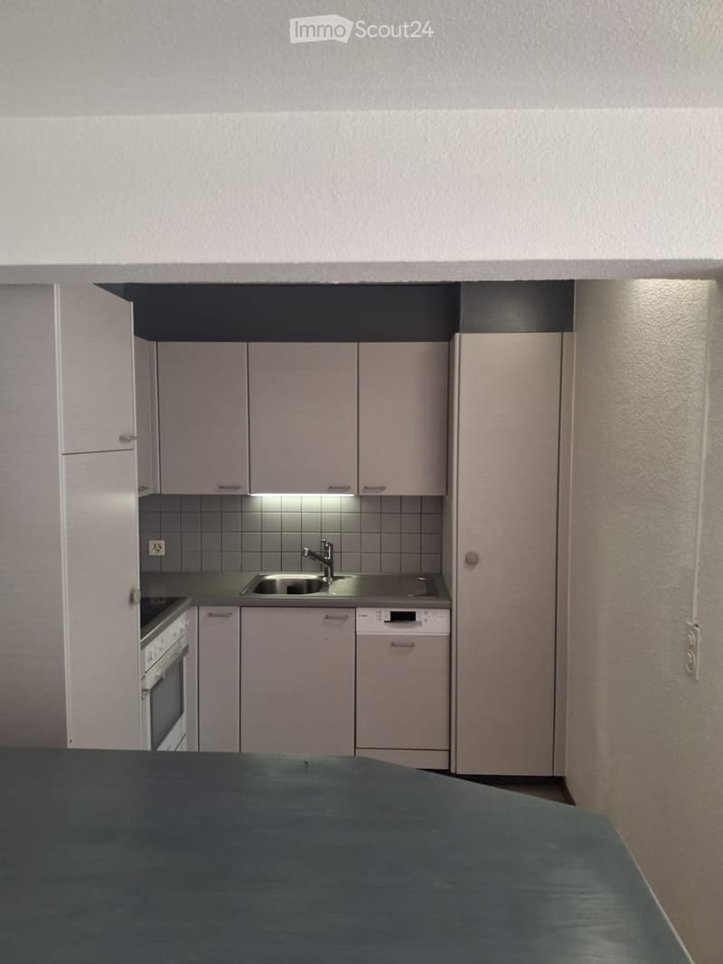Modern kitchen with light-colored cabinets, stainless steel sink, oven, and dishwasher. The countertop is dark, and the backsplash is tiled.
